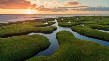 Aerial view of lush green salt marshes with winding streams at sunset, highlighting soft greens and blues of coastal wetlands.