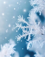 A detailed close-up of frost patterns on a window