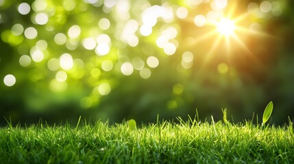 Obraz premium Vibrant Green Grass Meadow Sunlight Bokeh Background