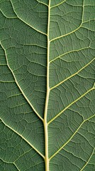 Vibrant Green Leaf Texture Background, Nature's Lush Foliage, Fresh Spring Leaves, Botanical Pattern, Generative AI