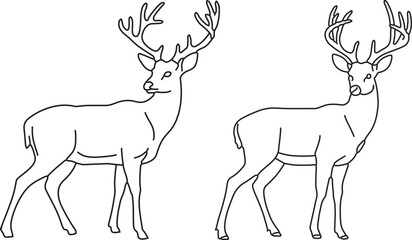  Hand drawn deer outline illustration
