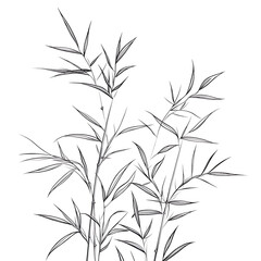 Obraz premium Flowers and leaves in pictures illustrator2D