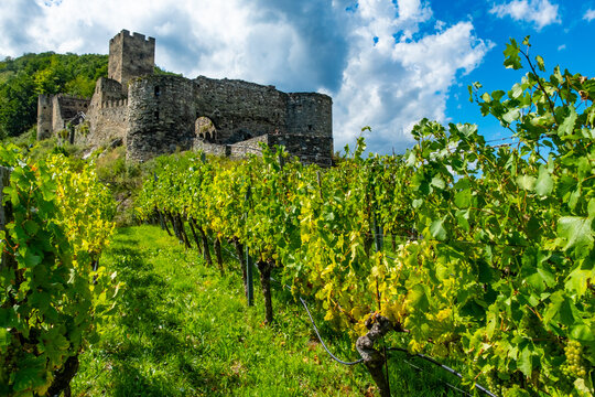 Castle Hinterhaus in Spitz Wachau Austria with Danube river and vineyards