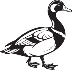 Silhouette of a Duck