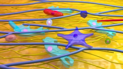 Yellow elastic connective tissue 3d illustration
