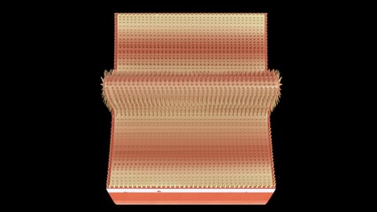 Plicae Circulares Section 3d illustration