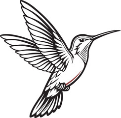 Fototapeta premium Ethereal Beauty Hummingbird Silhouette in Flight