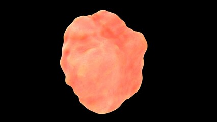 Pharynx waldeyer's ring 3d illustration