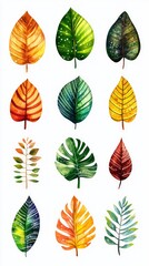 Obraz premium Vibrant Watercolor Leaves - A Colorful Botanical Illustration