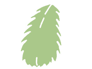 drawing of a leaf