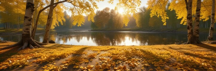 Obraz premium Golden light dances across a carpet of changing yellow birch leaves near a tranquil pond, birch trees, golden light