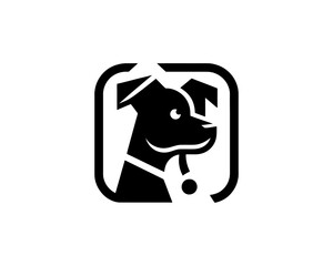 Dog Logo design template. Vector illustration.