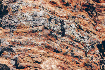 Natural stone texture with cracks, vegetation and dirt, texture background