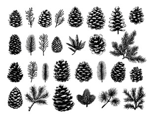 Pine Cones And Branches Linocut Print Style Icons Set On White Winter Forest Branches Nature Icons Carved Symbols Nature Prints Woodland Elements Bold Print Illustrations
