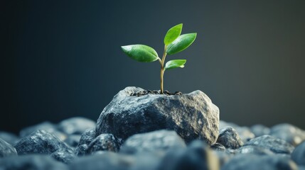 Stock market or business growth concept