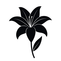 Elegant black silhouette of a Lily flower with leaf. A simple, silhouette of  Lily flower. Lily flower vector illustration isolated on white background