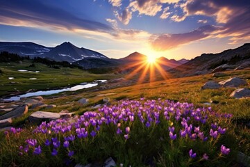 Obraz premium Wildflowers wilderness wildflower landscape.