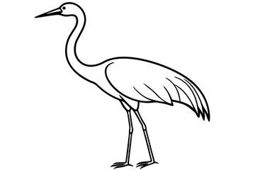 Graceful Crane Illustration