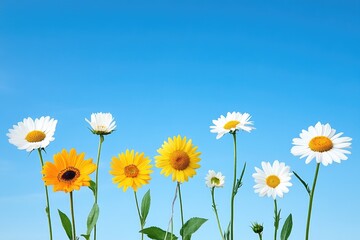 Fototapeta premium Vibrant display of various flowers against a clear blue sky, showcasing nature's beauty and diversity