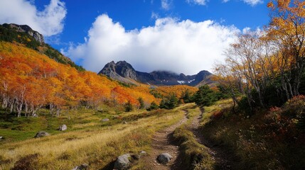 Scenic mountain path with vibrant autumn foliage and cloudy blue sky during the day