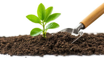Young green plant sprouting in rich soil with gardening trowel. Promote sustainable gardening practices and nurture plant growth.
