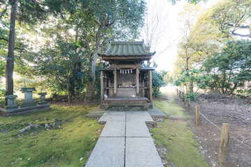 Obraz premium 府馬の大クスのお社