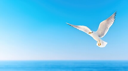 Seagull soaring over ocean, clear blue sky, freedom, travel poster
