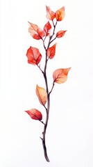Autumnal Watercolor Branch with Vivid Red Leaves - A Detailed Botanical Illustration