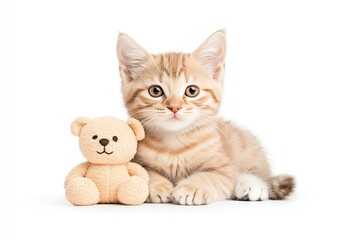Obraz premium Adorable orange tabby kitten lying next to a soft teddy bear on a clean white background