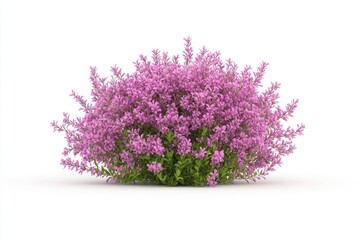 Fototapeta premium Vibrant cluster of blooming purple flowers showcasing nature's beauty against a clean white background