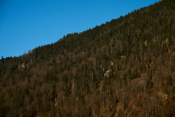 Day Light. Beautiful winter landscape on the mountains in Ruhpolding in Bavaria, Germany