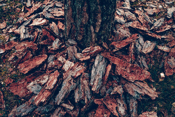 Dark Wood Texture, Processed Lumber Pattern Background Design