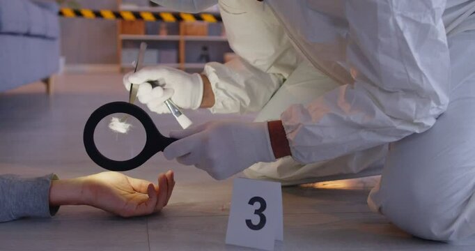 Crime investigation forensic scientist in protective suit at murder scene searches for evidence on dead woman on floor packing finds in plastic bag. Location number sign marker, blue red lights flash