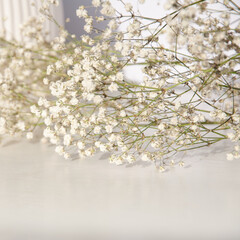 bright photo with small gypsophila flowers and a vase perfect for social media intentional blur of the aperture square proportions