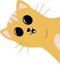 Cat Hide and Seek Illustration