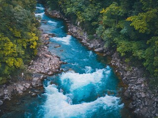 Pristine Turquoise Mountain River Flowing Through a Lush Forest Landscape