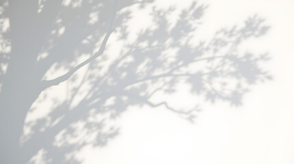 Abstract natural tree leaves shadow on white wall background