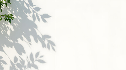 Naklejka premium Abstract natural tree leaves shadow on white wall background