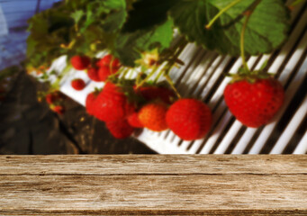Wooden table top on blur strawberry farm background in daytime. For montage product display or design key visual layout.View of copy space.