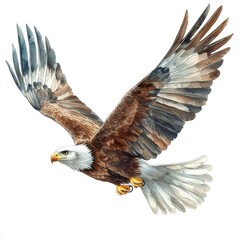Obraz premium Majestic eagle soaring through the sky, showcasing its powerful wings and keen gaze, symbolizing freedom