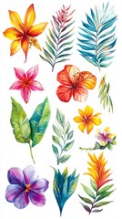 Obraz premium A Vibrant Watercolor Collection of Tropical Flowers and Leaves. A Stunning Display of Nature's Beauty. A Colorful Floral Paradise.