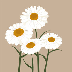 bouquet of daisies
