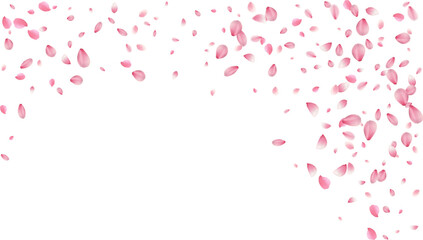 spring banner template cherry blossom Or sakura flying petals vector illustration romantic background with realistic pink cherry flower petals flow or falling motion