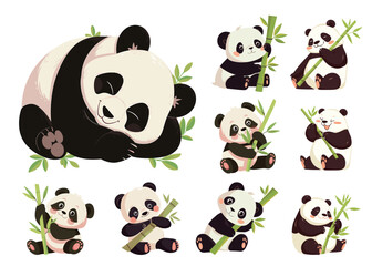 pandas cartoon set. panda with branch, cute kind character bamboo bear black white rare animal china vector illustration