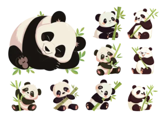 pandas cartoon set. panda with branch, cute kind character bamboo bear black white rare animal china vector illustration