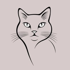 Cat Illustration
