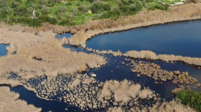 Aerial view of wetland and yellowing reeds. Gelemis, patara, turkey