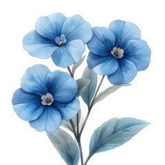 Vibrant blue flowers with delicate petals and green leaves against a clean white background