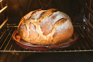 loaf of bread. ready-baked bread on a ceramic pan in the oven with a crispy crust.