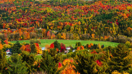 Bright colors of fall foliage, Quebec, Canada